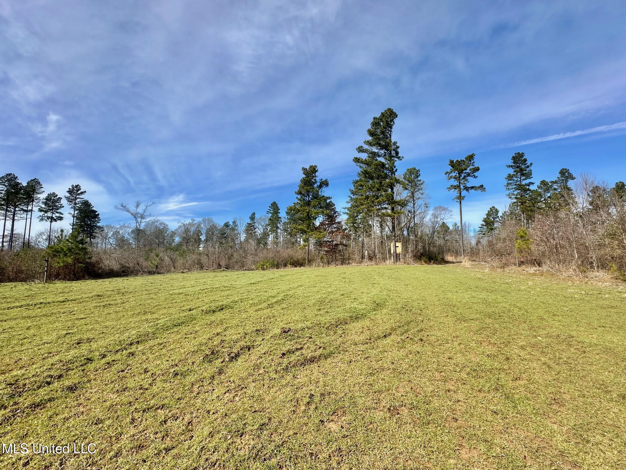 3 Dry Grove Road Terry, MS 39170 - Photo 16 of 80 540