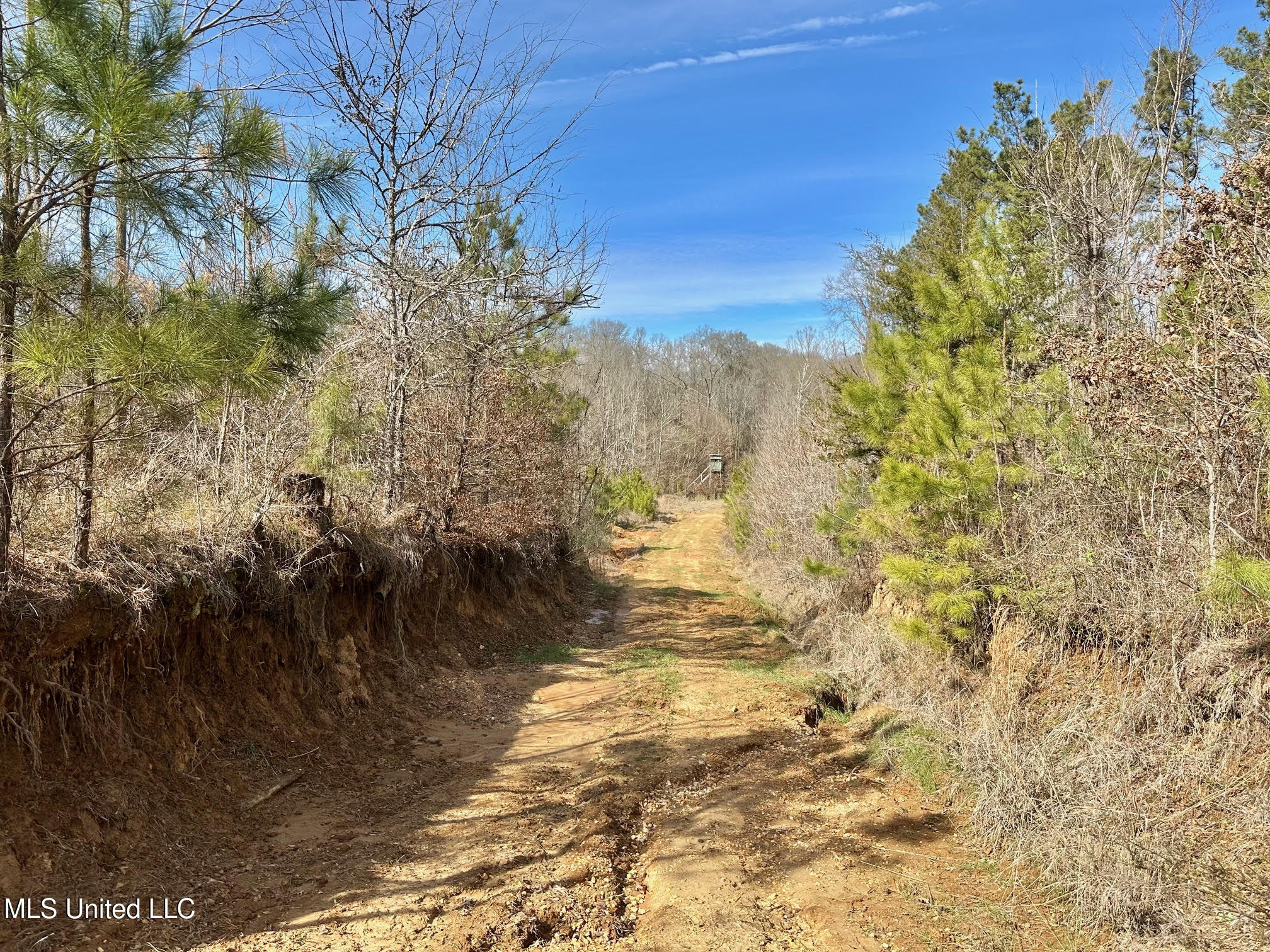 3 Dry Grove Road Terry, MS 39170 - Photo 17 of 80 541