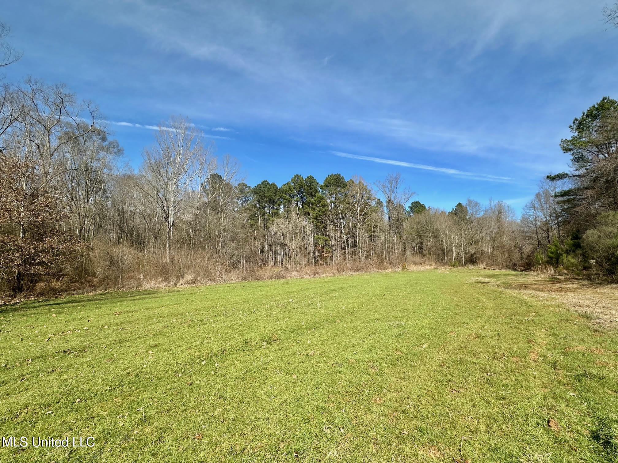 3 Dry Grove Road Terry, MS 39170 - Photo 18 of 80 542