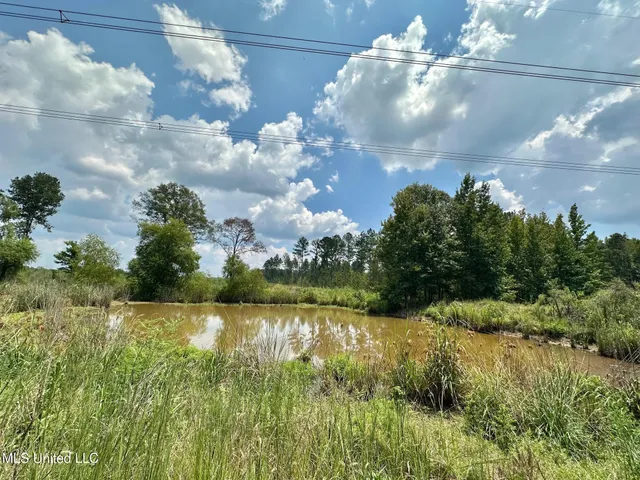 $1,400,000 | 3 Dry Grove Road, Terry, MS 39170