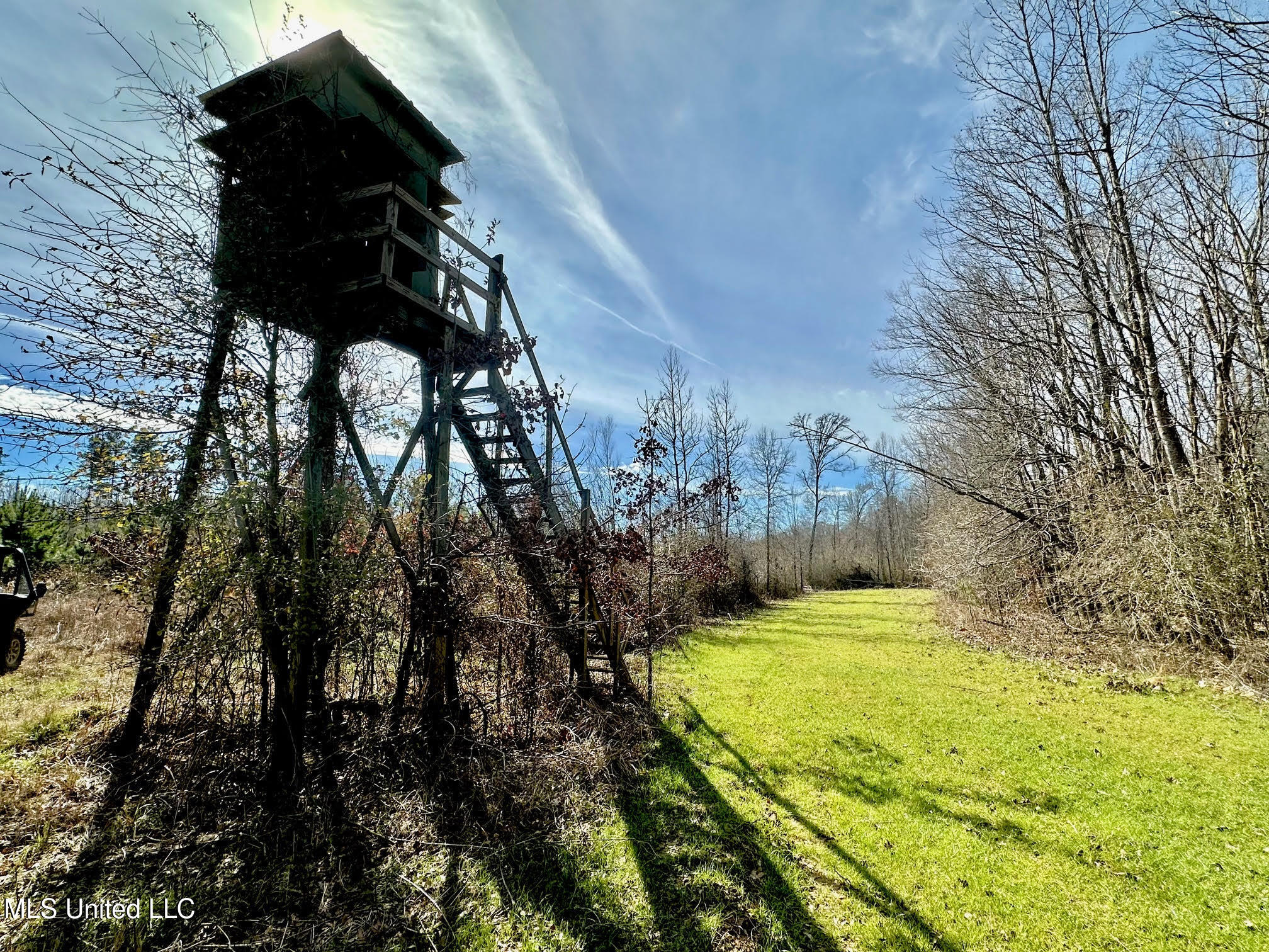 3 Dry Grove Road Terry, MS 39170 - Photo 19 of 80 543