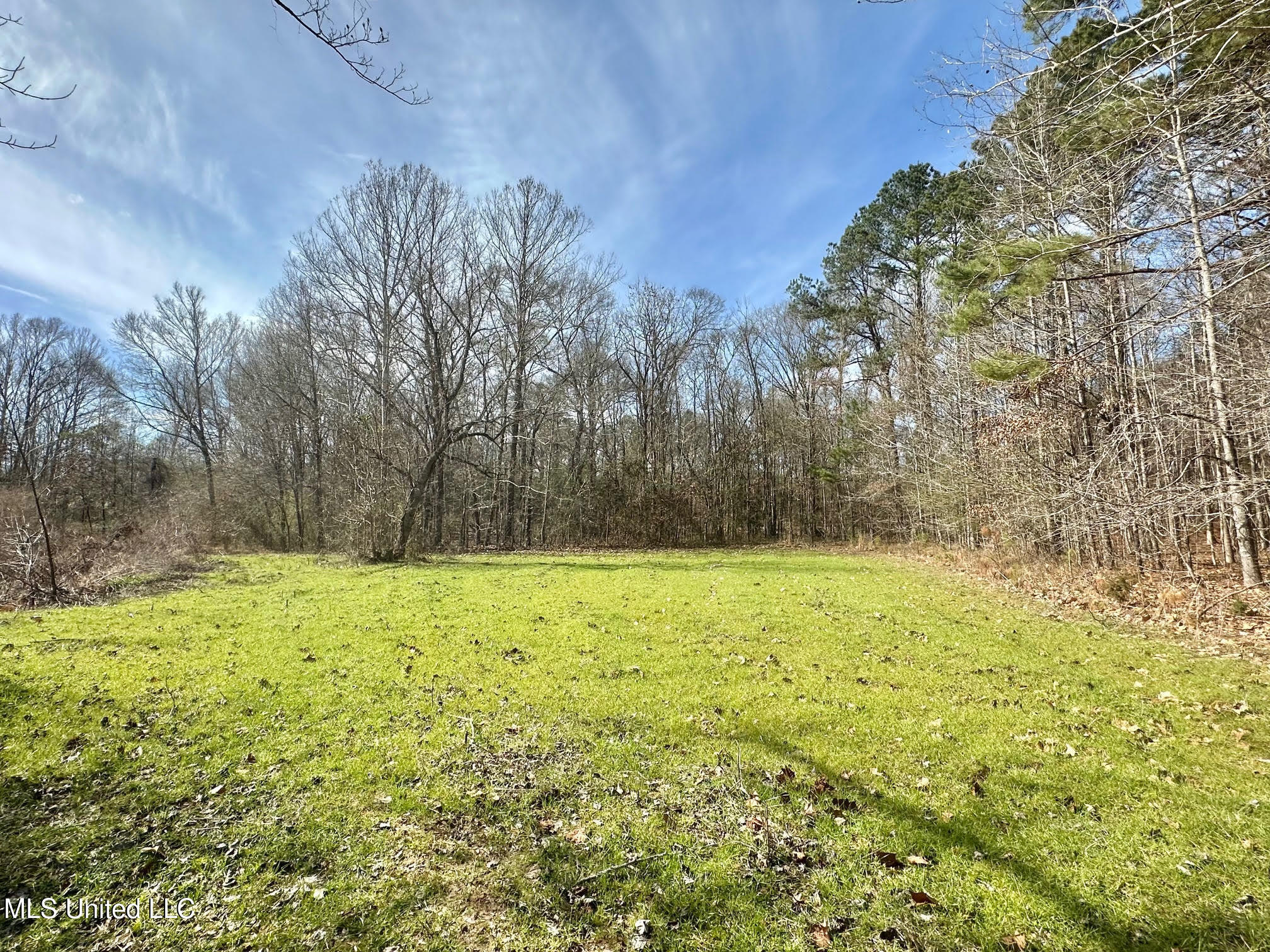 3 Dry Grove Road Terry, MS 39170 - Photo 21 of 80 545