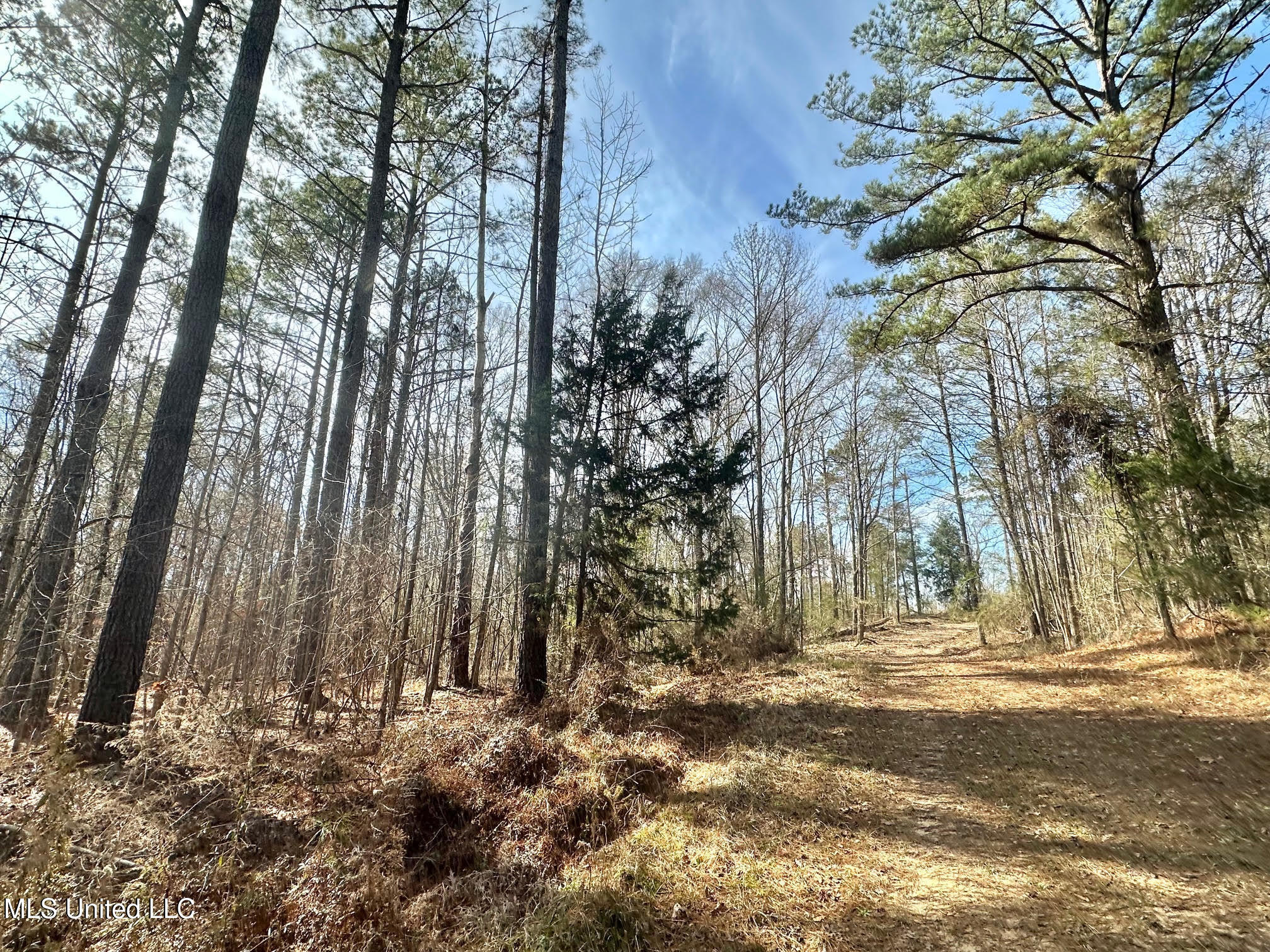 3 Dry Grove Road Terry, MS 39170 - Photo 22 of 80 546