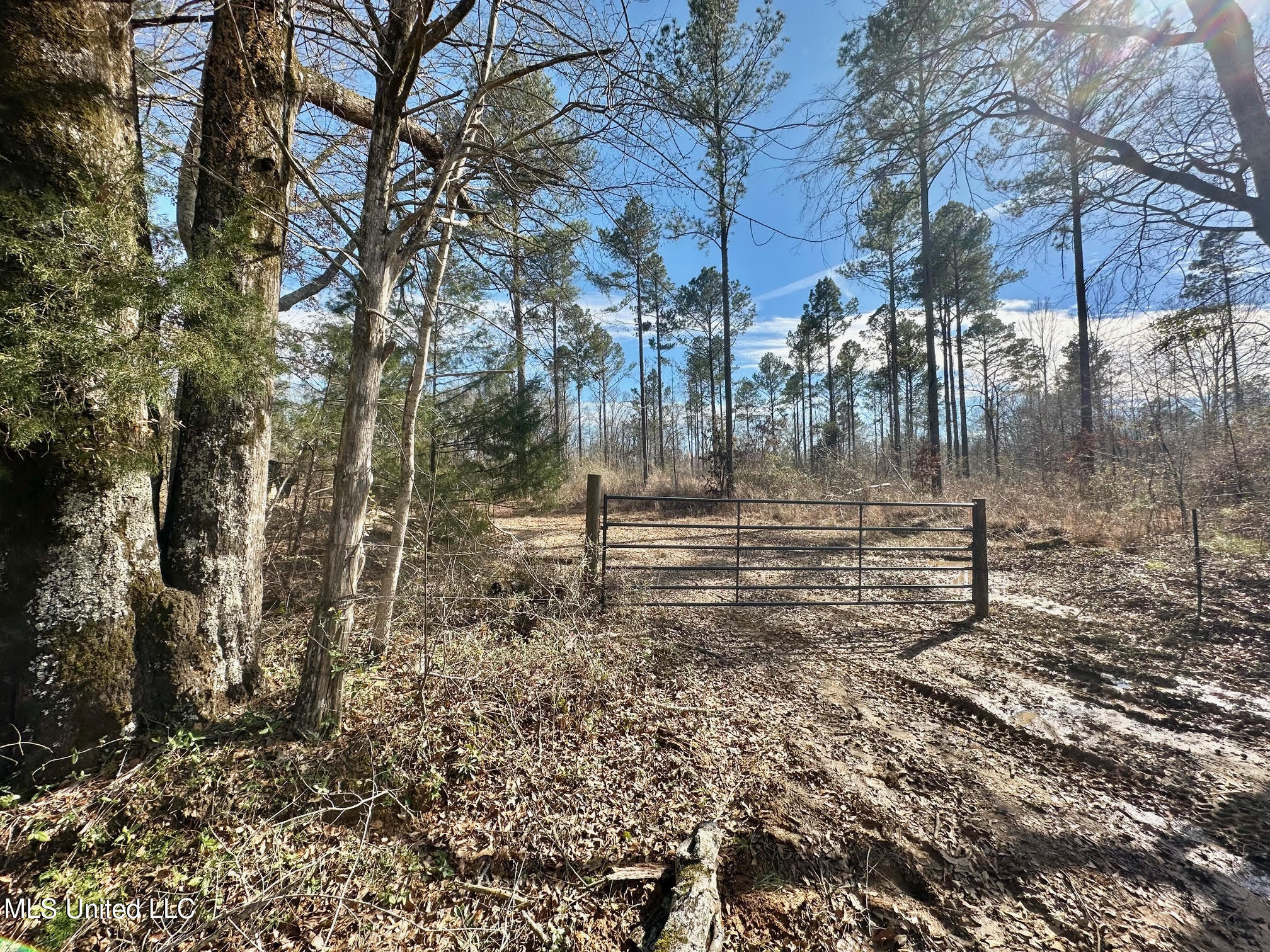 3 Dry Grove Road Terry, MS 39170 - Photo 23 of 80 590