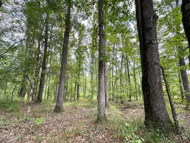 $1,400,000 | 3 Dry Grove Road, Terry, MS 39170