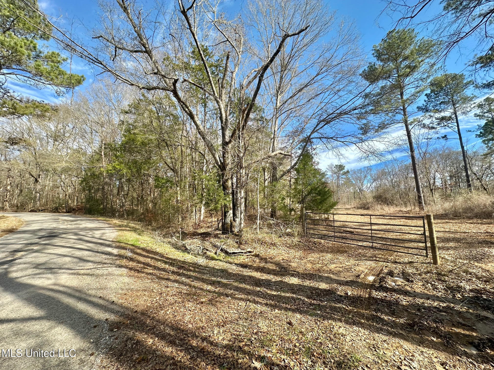 3 Dry Grove Road Terry, MS 39170 - Photo 24 of 80 591