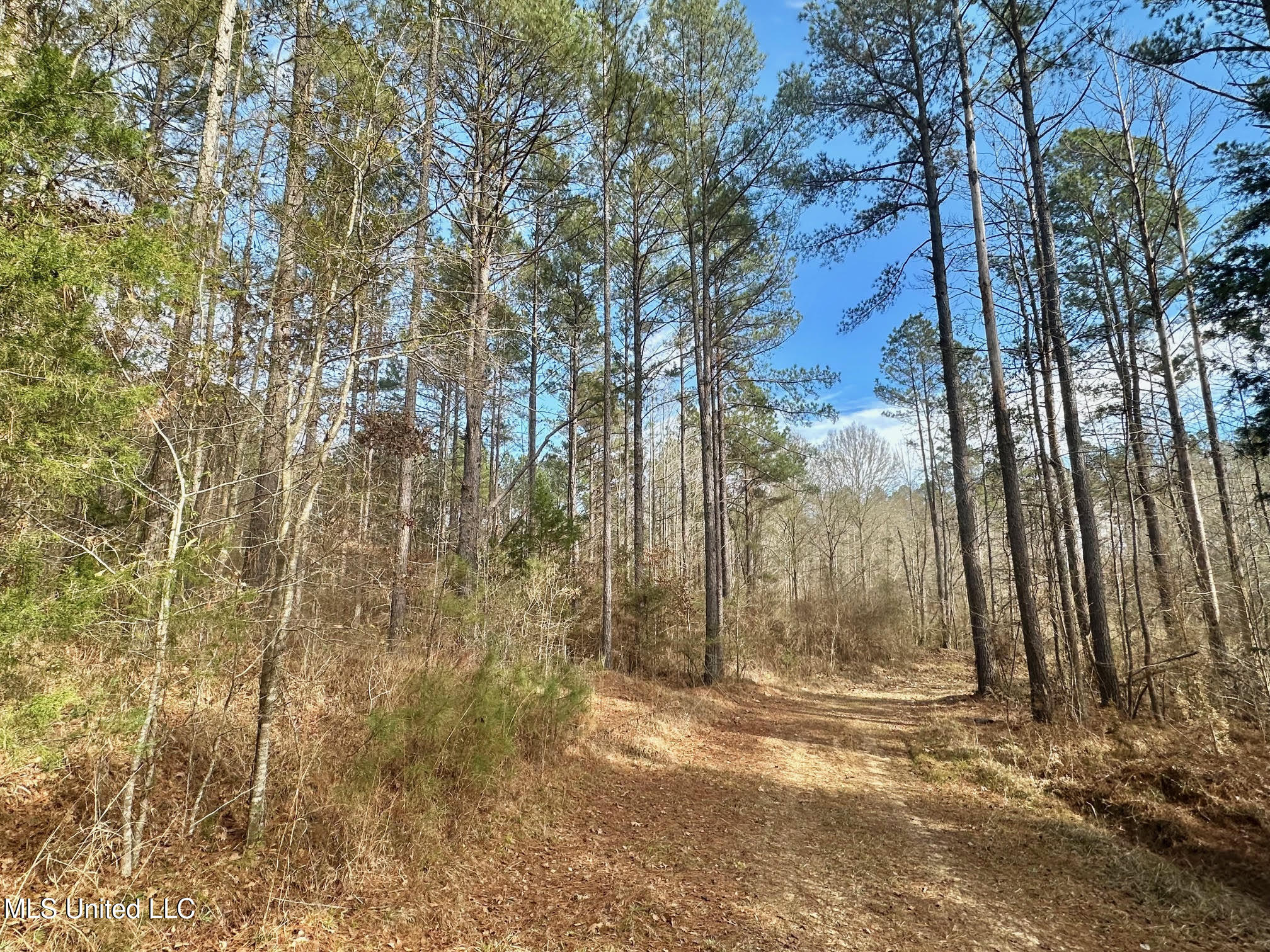 3 Dry Grove Road Terry, MS 39170 - Photo 25 of 80 592