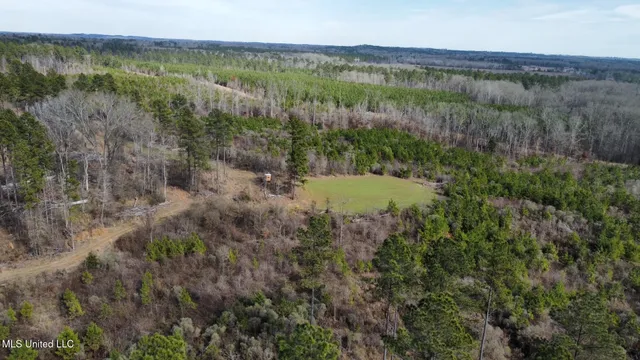 $1,375,000 | 3 Dry Grove Road, Terry, MS 39170