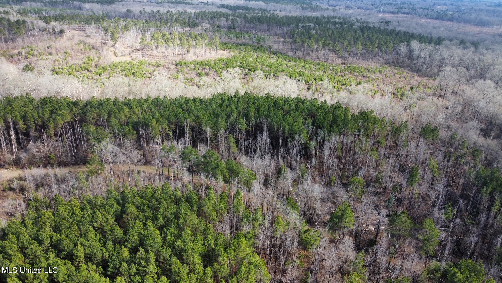 3 Dry Grove Road Terry, MS 39170 - Photo 29 of 80 607
