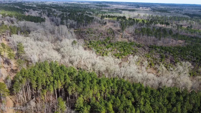 $1,375,000 | 3 Dry Grove Road, Terry, MS 39170