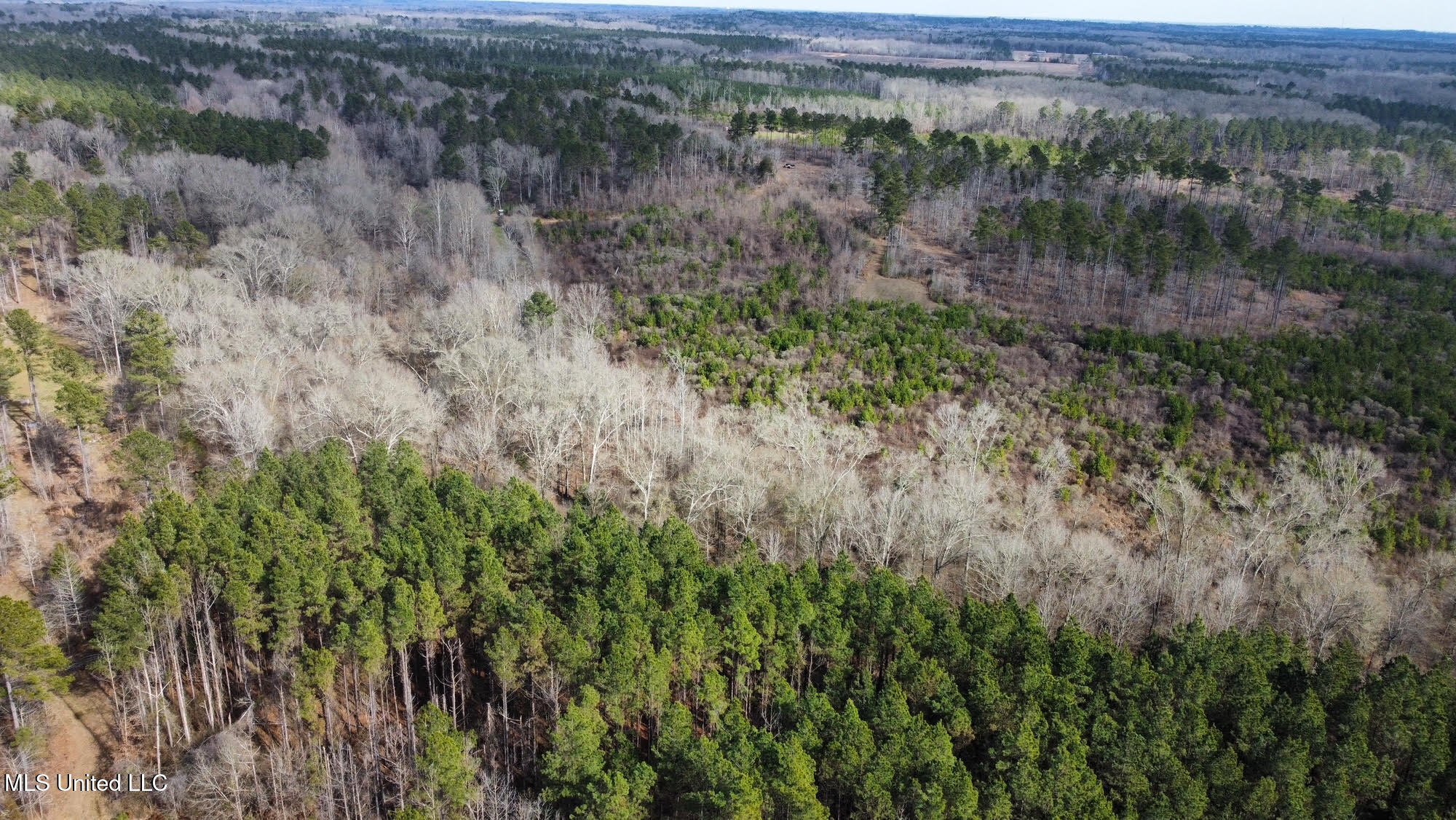 3 Dry Grove Road Terry, MS 39170 - Photo 30 of 80 608
