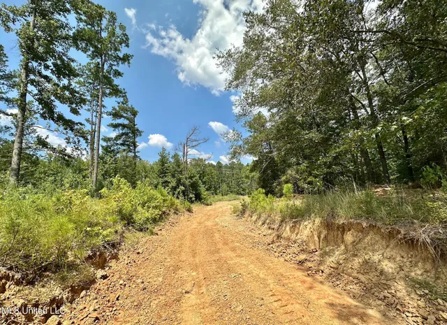 $1,400,000 | 3 Dry Grove Road, Terry, MS 39170
