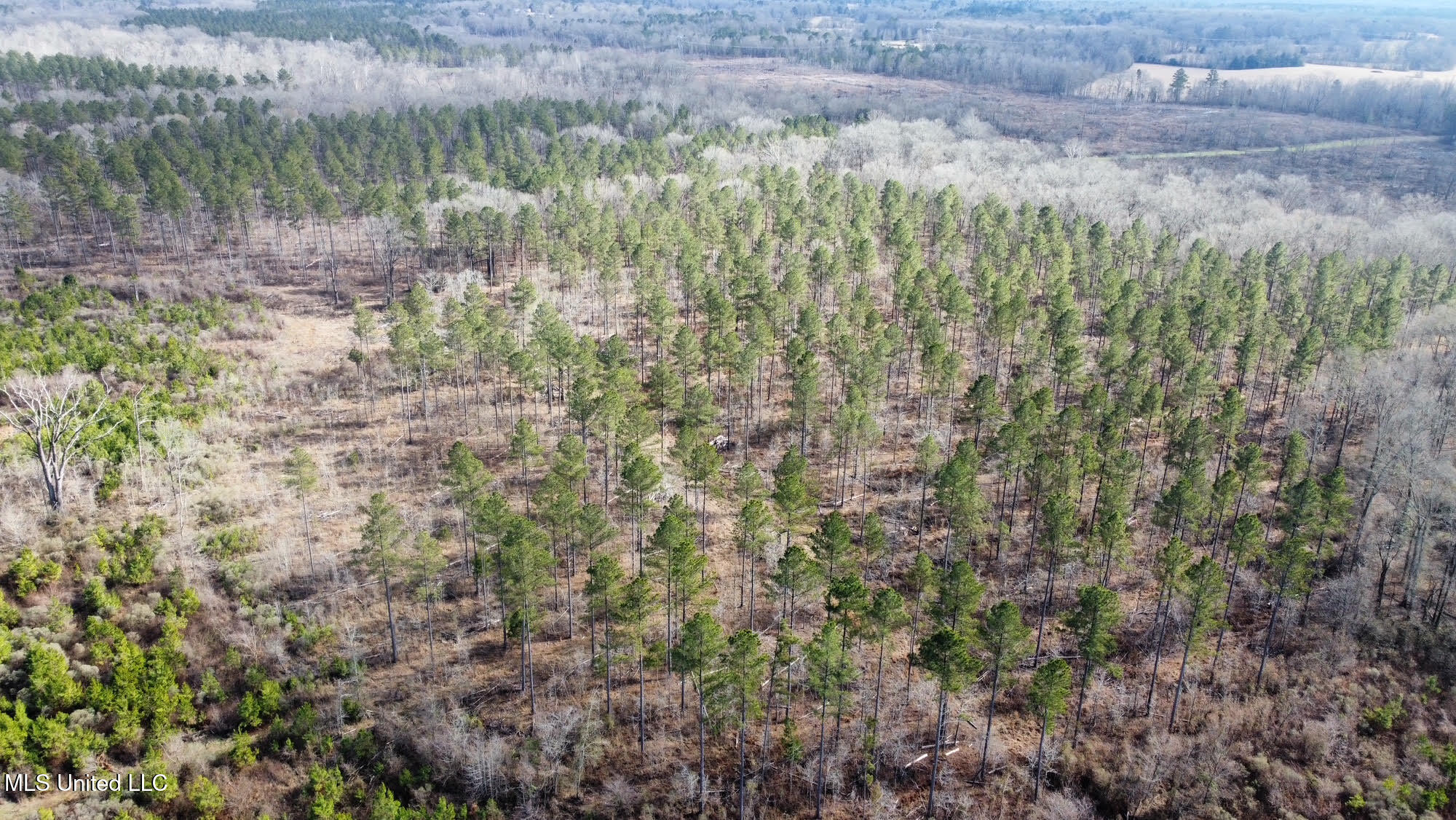 3 Dry Grove Road Terry, MS 39170 - Photo 32 of 80 610