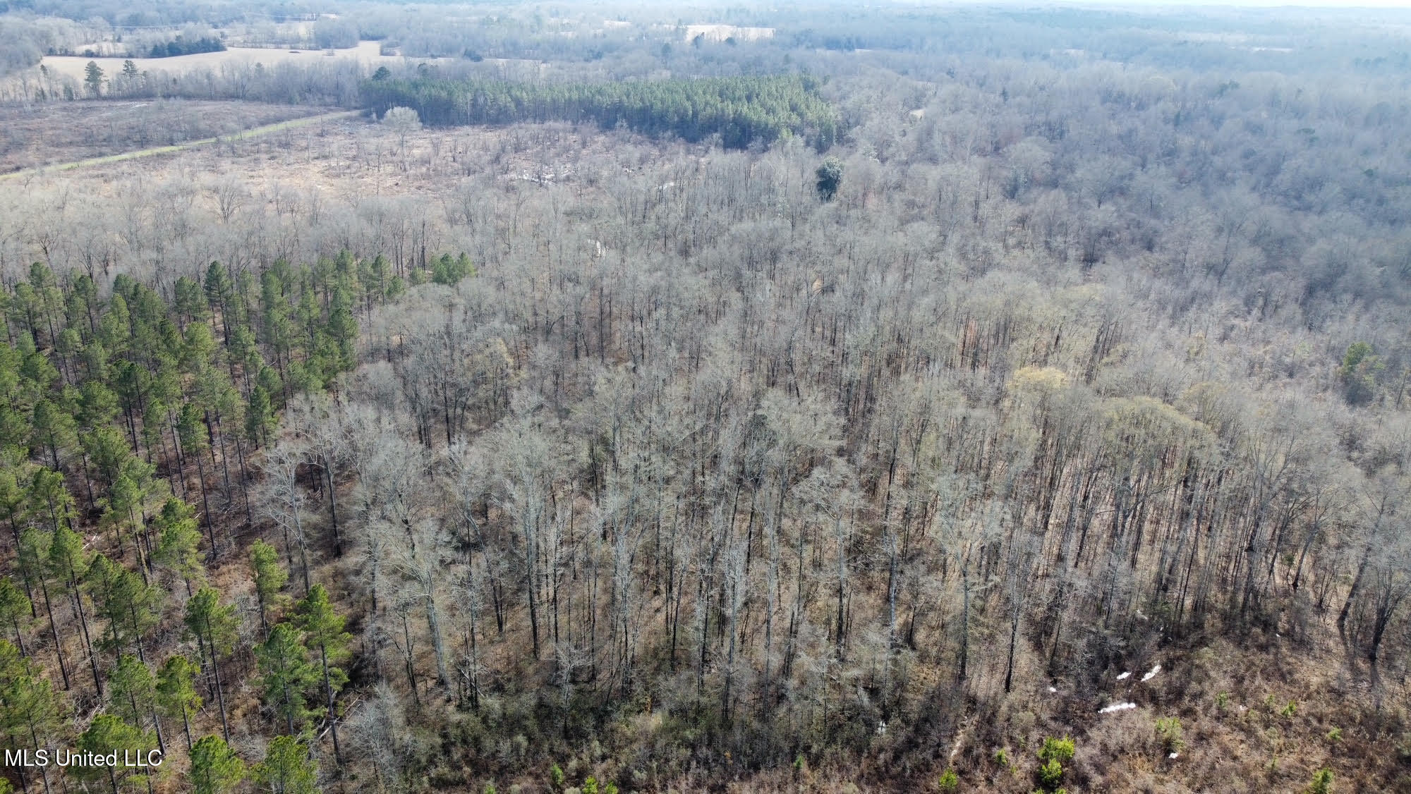 3 Dry Grove Road Terry, MS 39170 - Photo 33 of 80 611