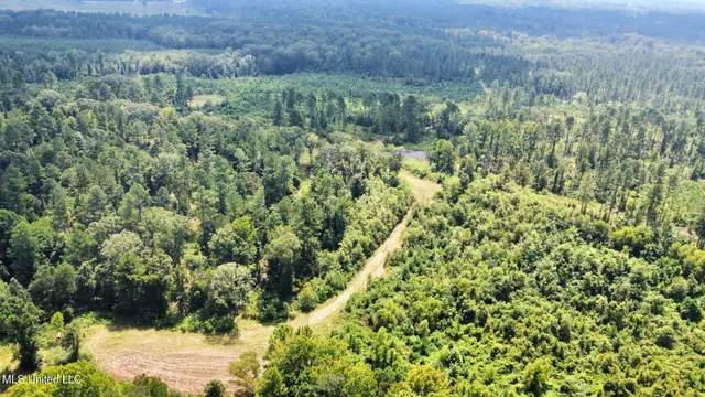 $1,400,000 | 3 Dry Grove Road, Terry, MS 39170