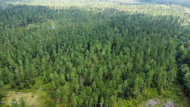 $1,400,000 | 3 Dry Grove Road, Terry, MS 39170