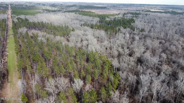 $1,375,000 | 3 Dry Grove Road, Terry, MS 39170