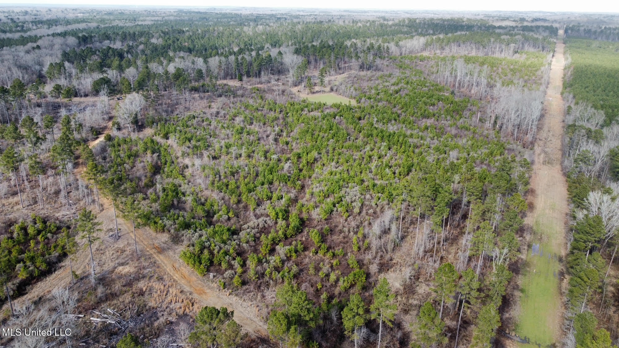 3 Dry Grove Road Terry, MS 39170 - Photo 37 of 80 622
