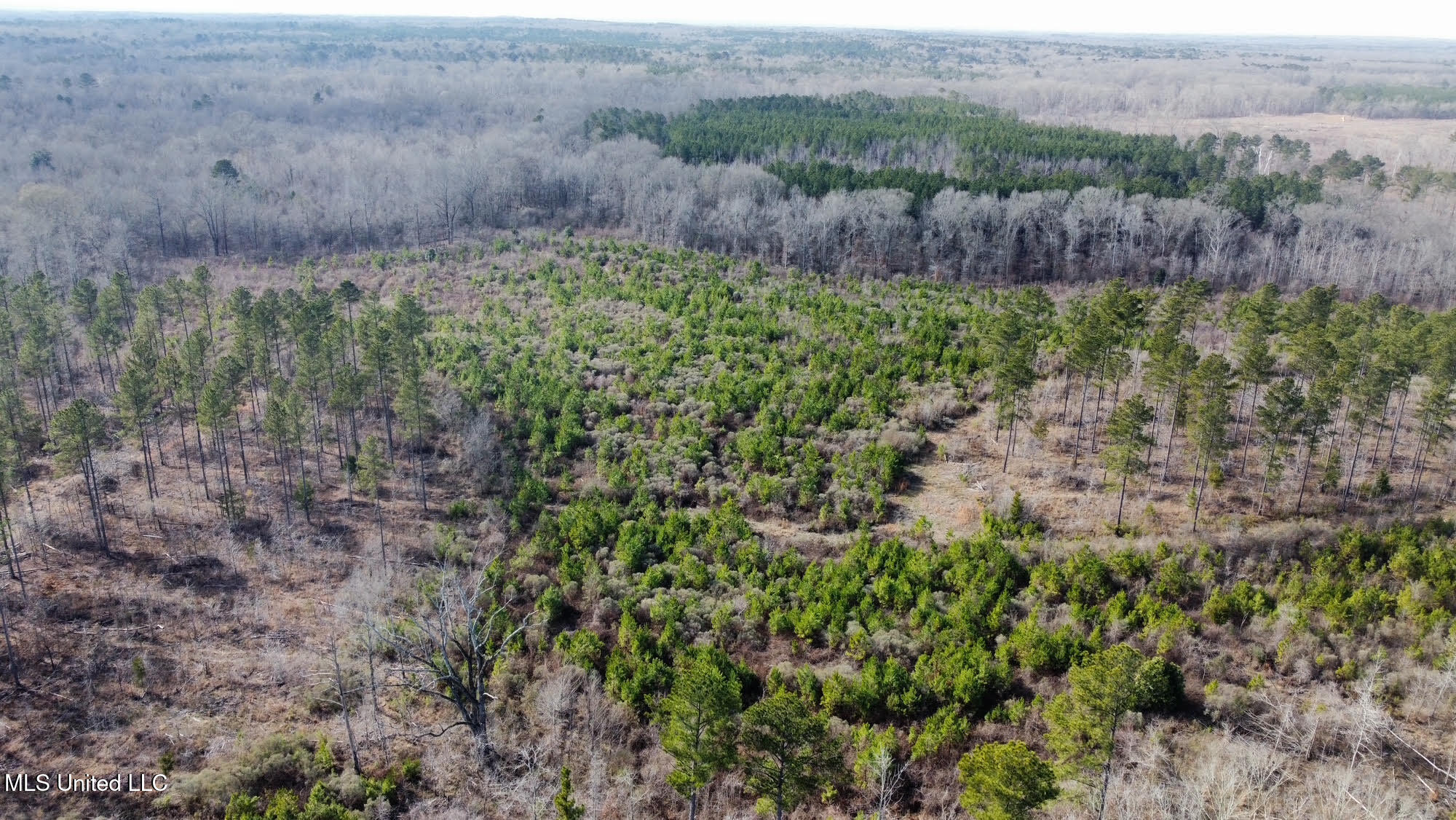 3 Dry Grove Road Terry, MS 39170 - Photo 38 of 80 623