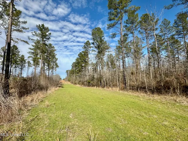 $1,375,000 | 3 Dry Grove Road, Terry, MS 39170