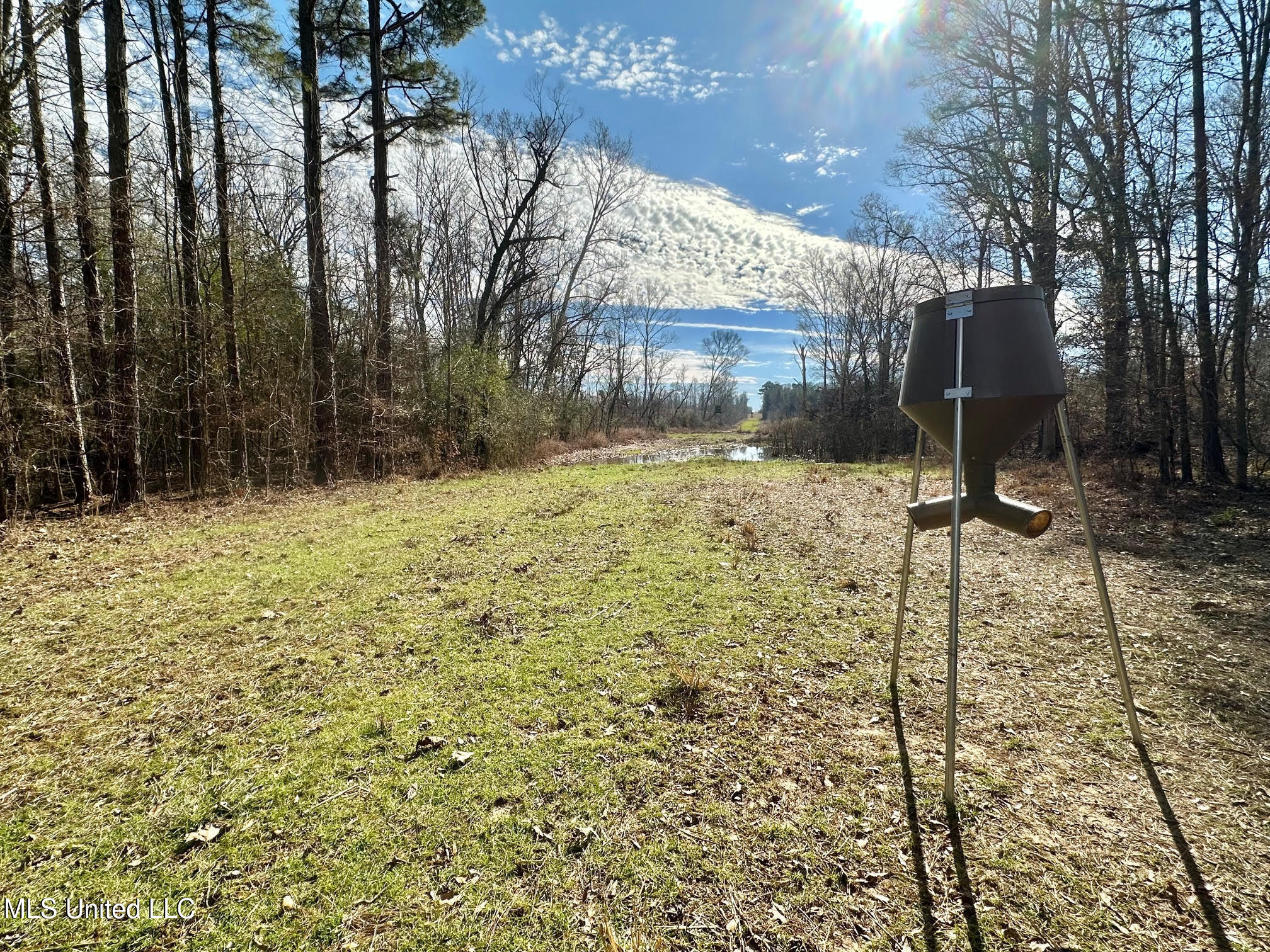 3 Dry Grove Road Terry, MS 39170 - Photo 41 of 80 628