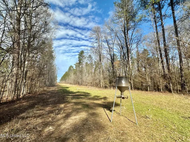 $1,375,000 | 3 Dry Grove Road, Terry, MS 39170