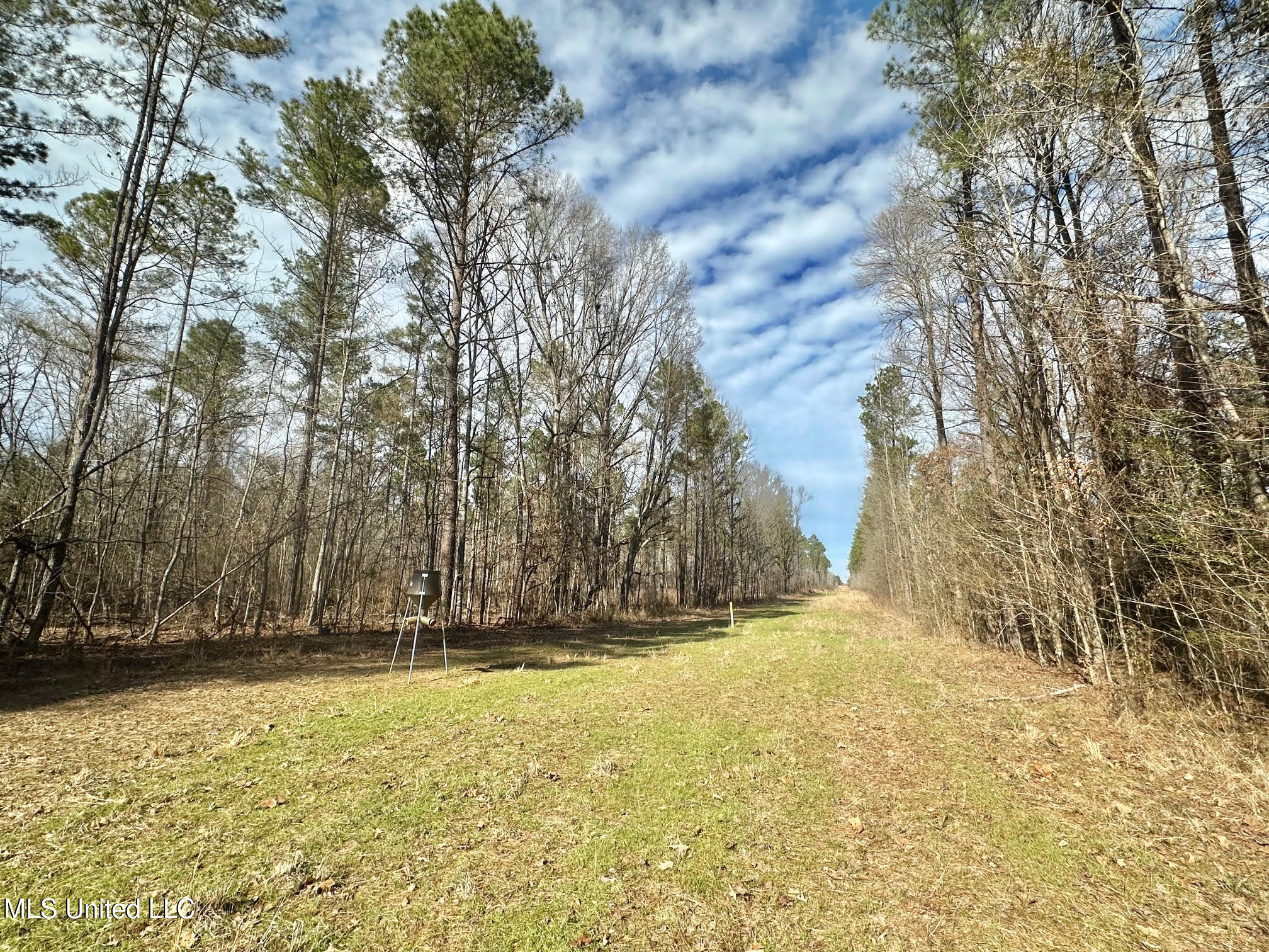 3 Dry Grove Road Terry, MS 39170 - Photo 43 of 80 630