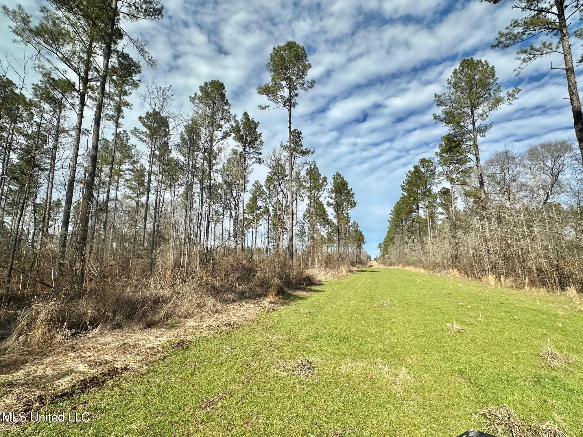 3 Dry Grove Road Terry, MS 39170 - Photo 44 of 80 631