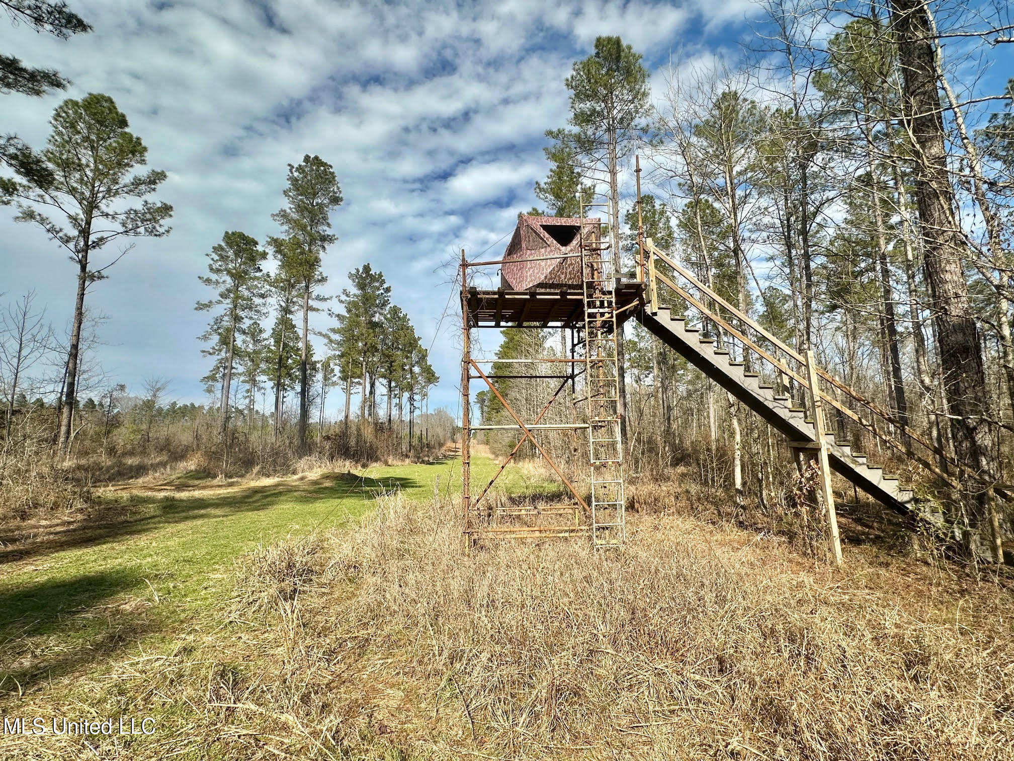 3 Dry Grove Road Terry, MS 39170 - Photo 45 of 80 632