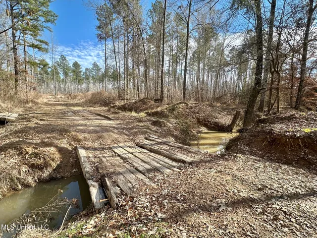 $1,375,000 | 3 Dry Grove Road, Terry, MS 39170