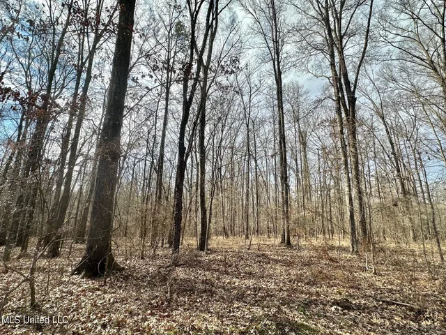 $1,375,000 | 3 Dry Grove Road, Terry, MS 39170