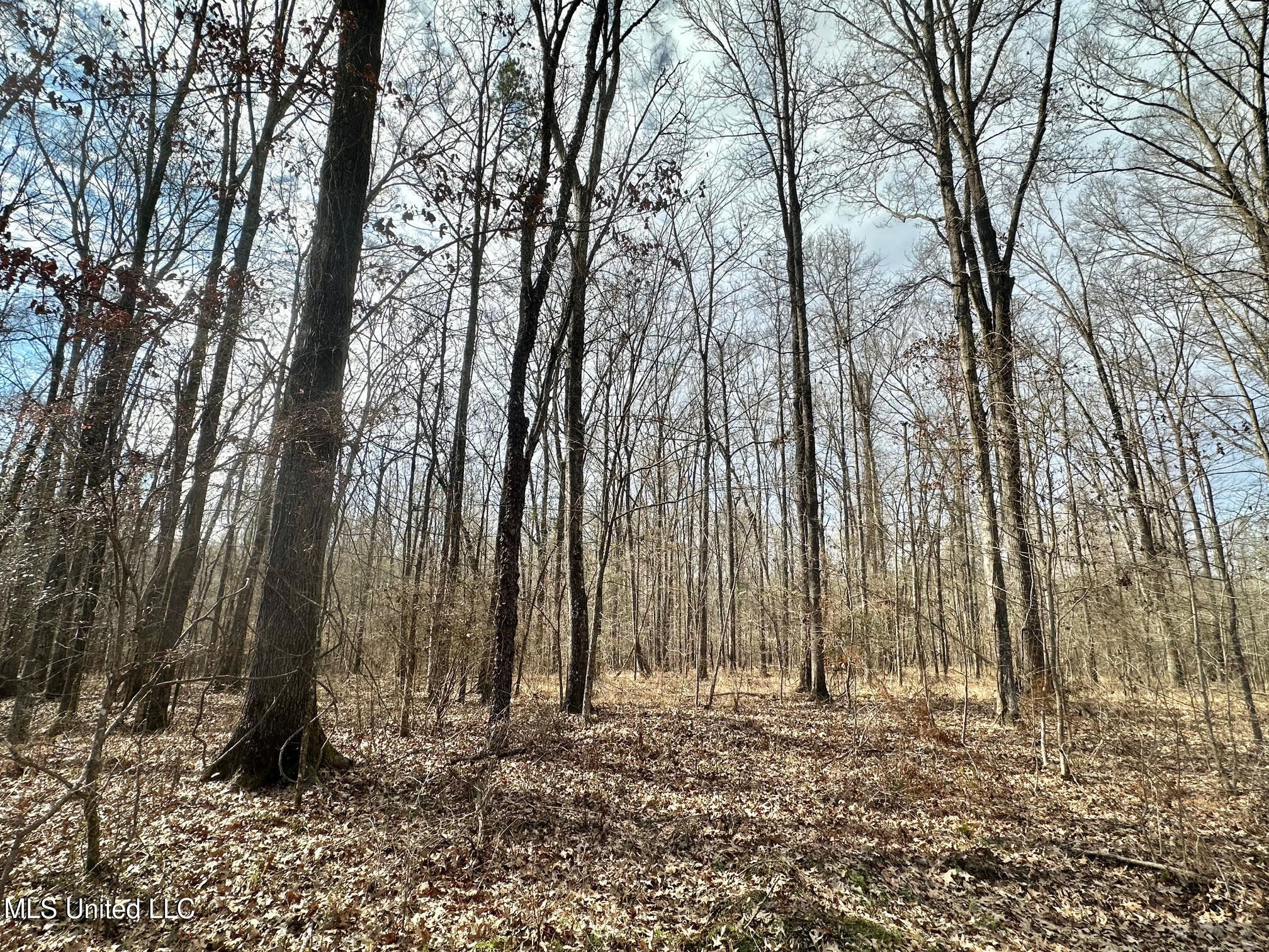 3 Dry Grove Road Terry, MS 39170 - Photo 50 of 80 637