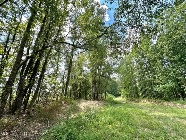 $1,400,000 | 3 Dry Grove Road, Terry, MS 39170