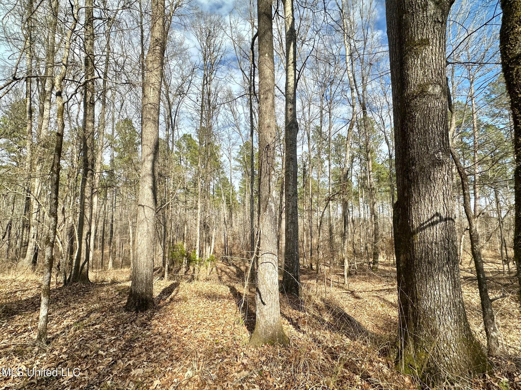 3 Dry Grove Road Terry, MS 39170 - Photo 52 of 80 639