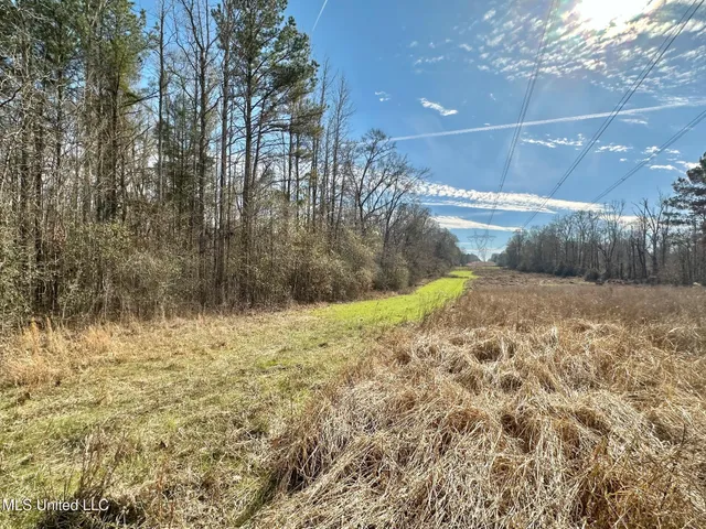 $1,375,000 | 3 Dry Grove Road, Terry, MS 39170