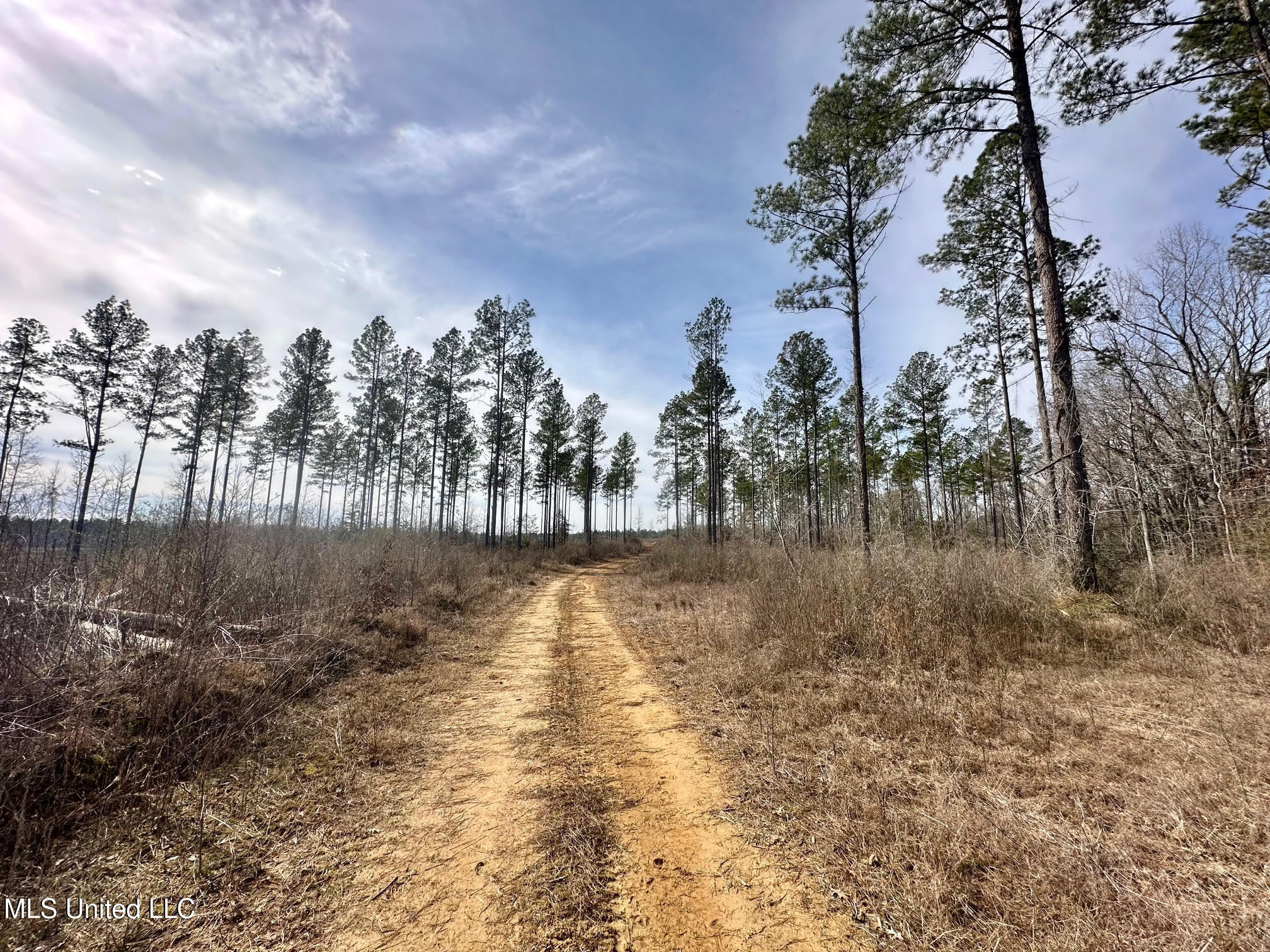 3 Dry Grove Road Terry, MS 39170 - Photo 6 of 80 506