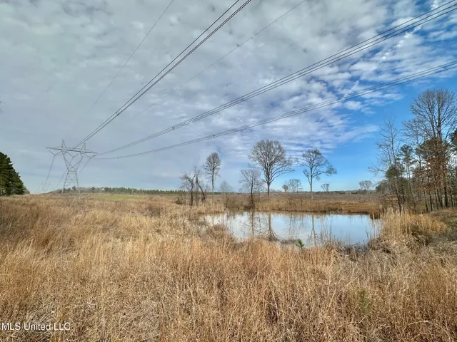 $1,375,000 | 3 Dry Grove Road, Terry, MS 39170