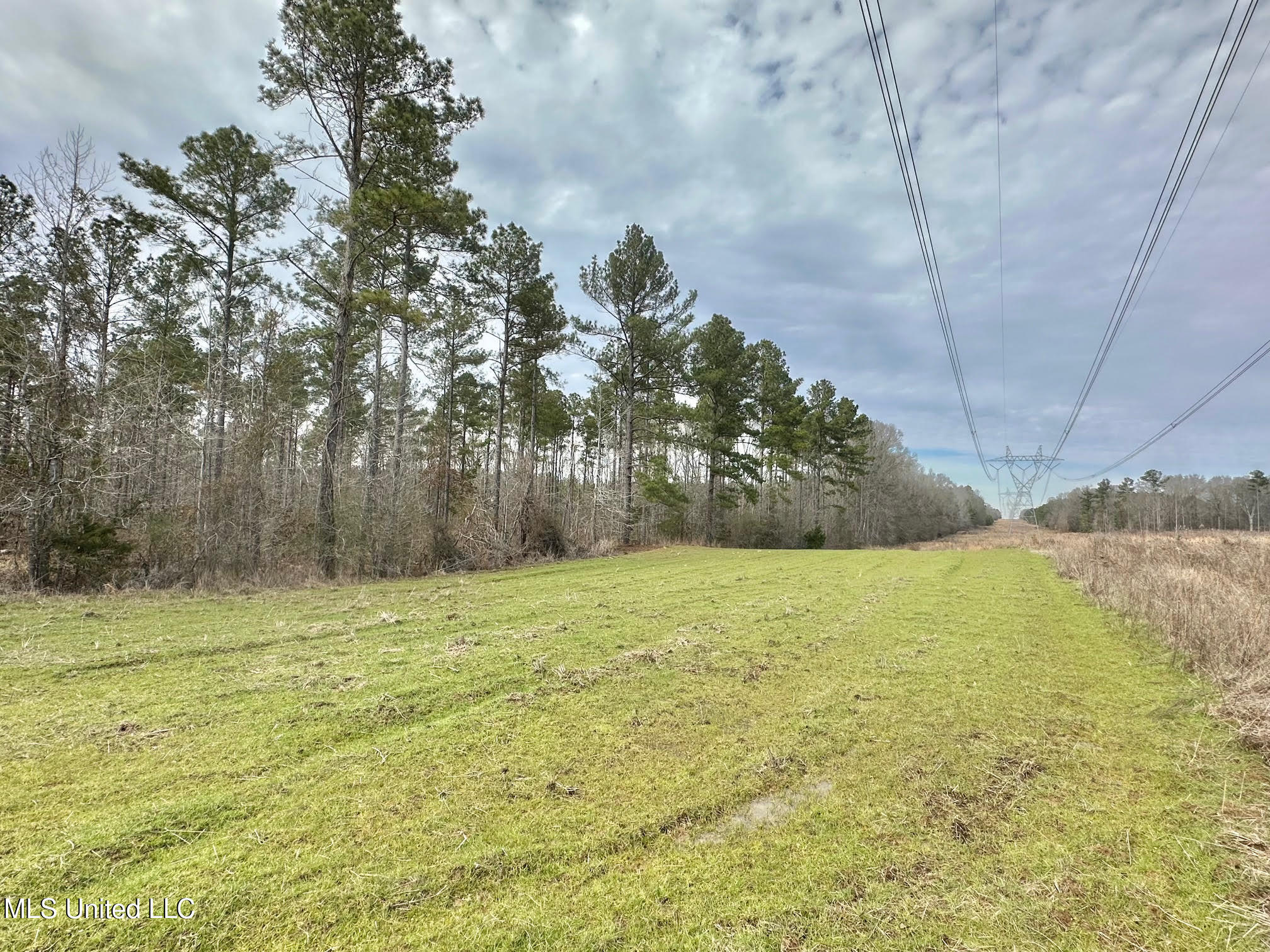 3 Dry Grove Road Terry, MS 39170 - Photo 63 of 80 650