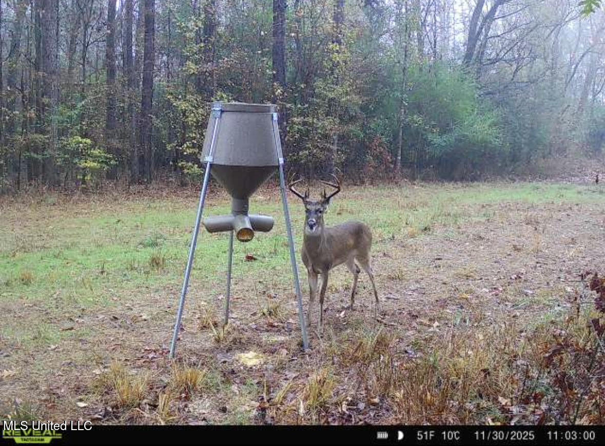 3 Dry Grove Road Terry, MS 39170 - Photo 67 of 80 692