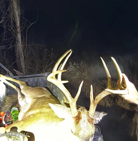 $1,375,000 | 3 Dry Grove Road, Terry, MS 39170