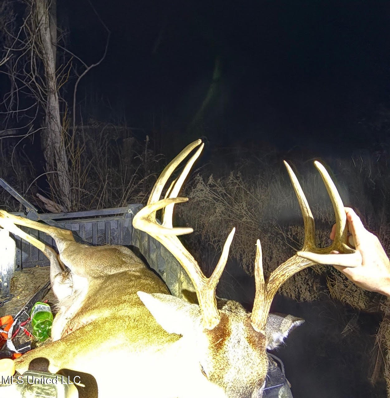 3 Dry Grove Road Terry, MS 39170 - Photo 72 of 80 698