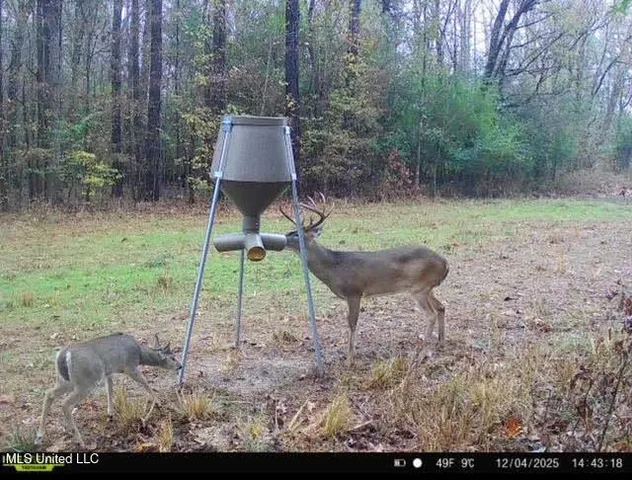 $1,375,000 | 3 Dry Grove Road, Terry, MS 39170