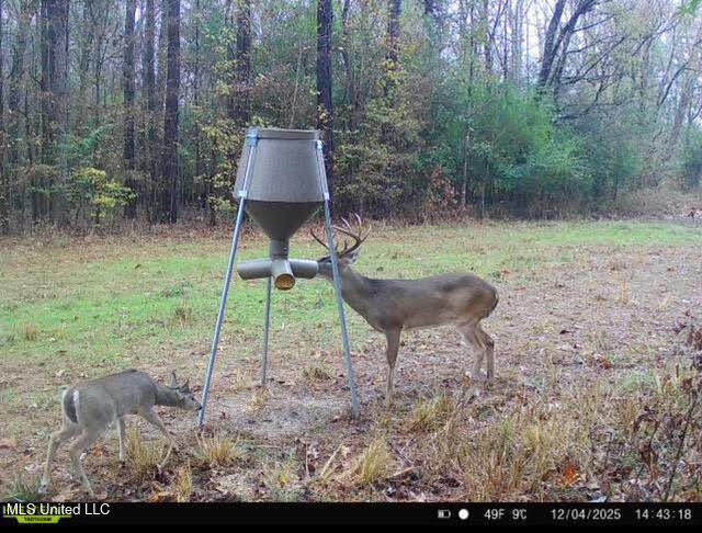 3 Dry Grove Road Terry, MS 39170 - Photo 74 of 80 706