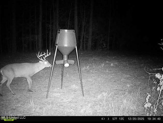 3 Dry Grove Road Terry, MS 39170 - Photo 75 of 80 707