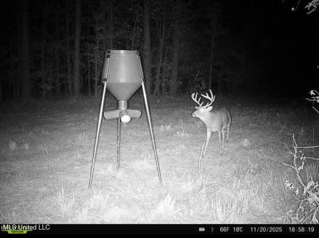 3 Dry Grove Road Terry, MS 39170 - Photo 77 of 80 713