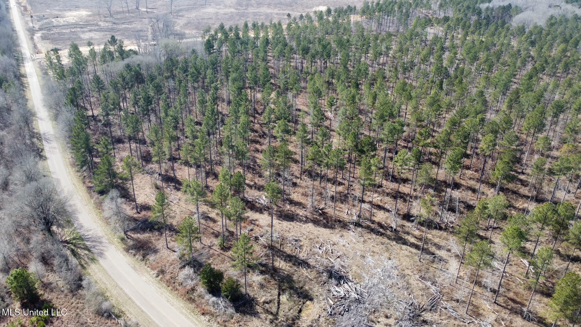 3 Dry Grove Road Terry, MS 39170 - Photo 10 of 80 523