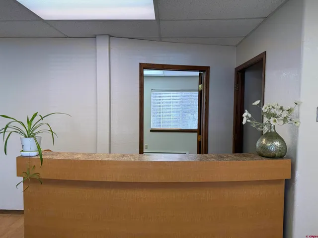a view of livingroom with a potted plant