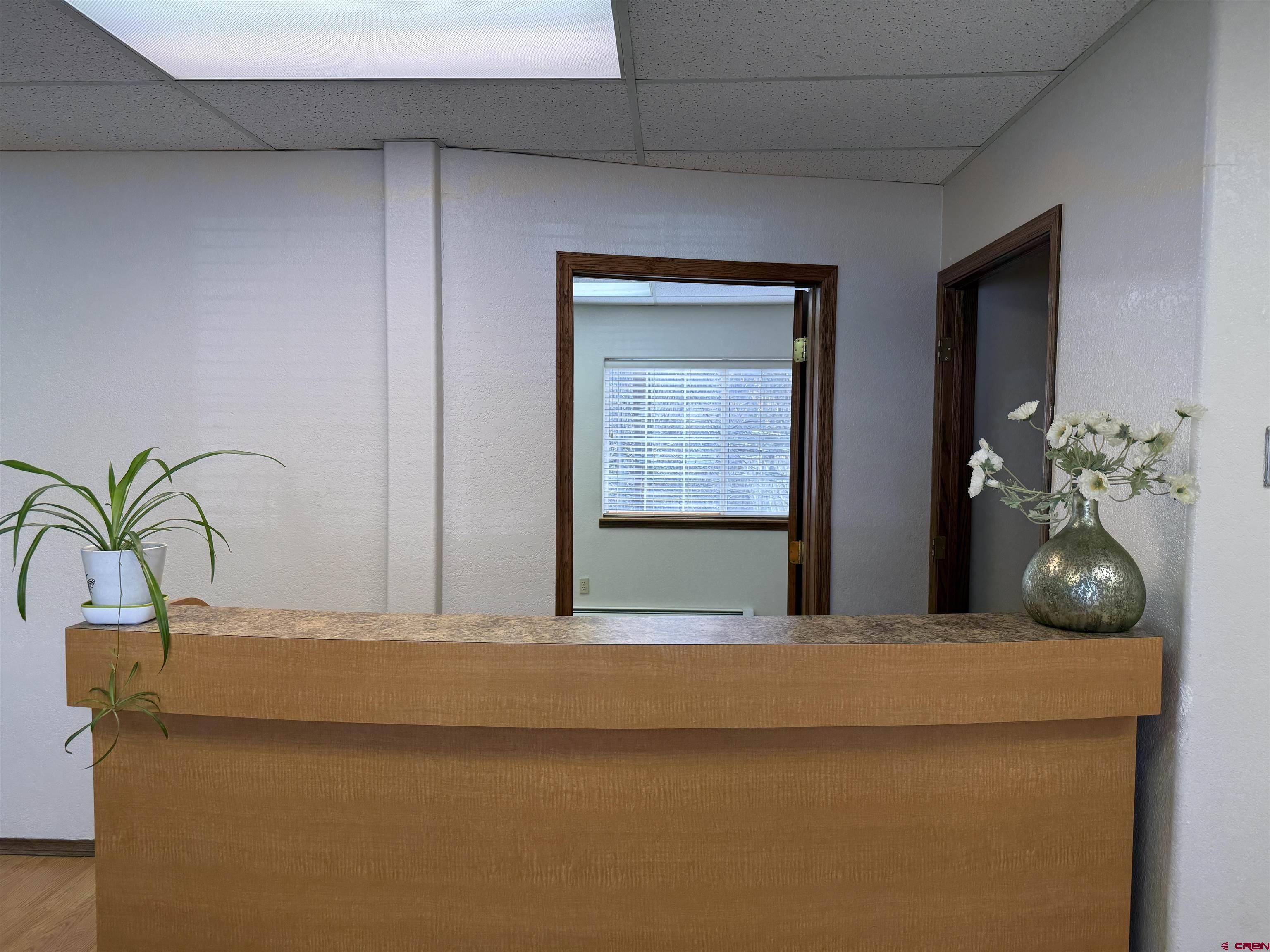 1666 Main Avenue, Unit A Durango, CO 81301 - Photo 6 of 28 a view of livingroom with a potted plant