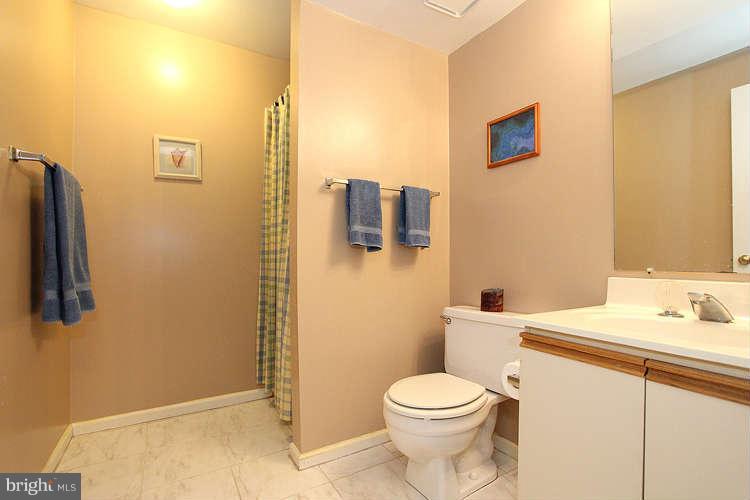 2105 Derby Ridge Lane, Unit 28 Silver Spring, MD 20910 - Photo 27 of 29 Bath