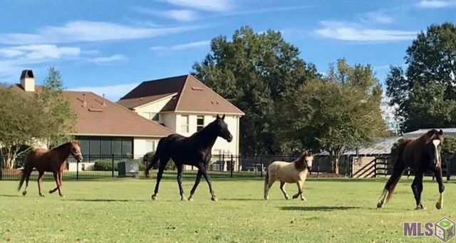 $2,000,000 | 14247 Blackwater Road, Central, LA 70714